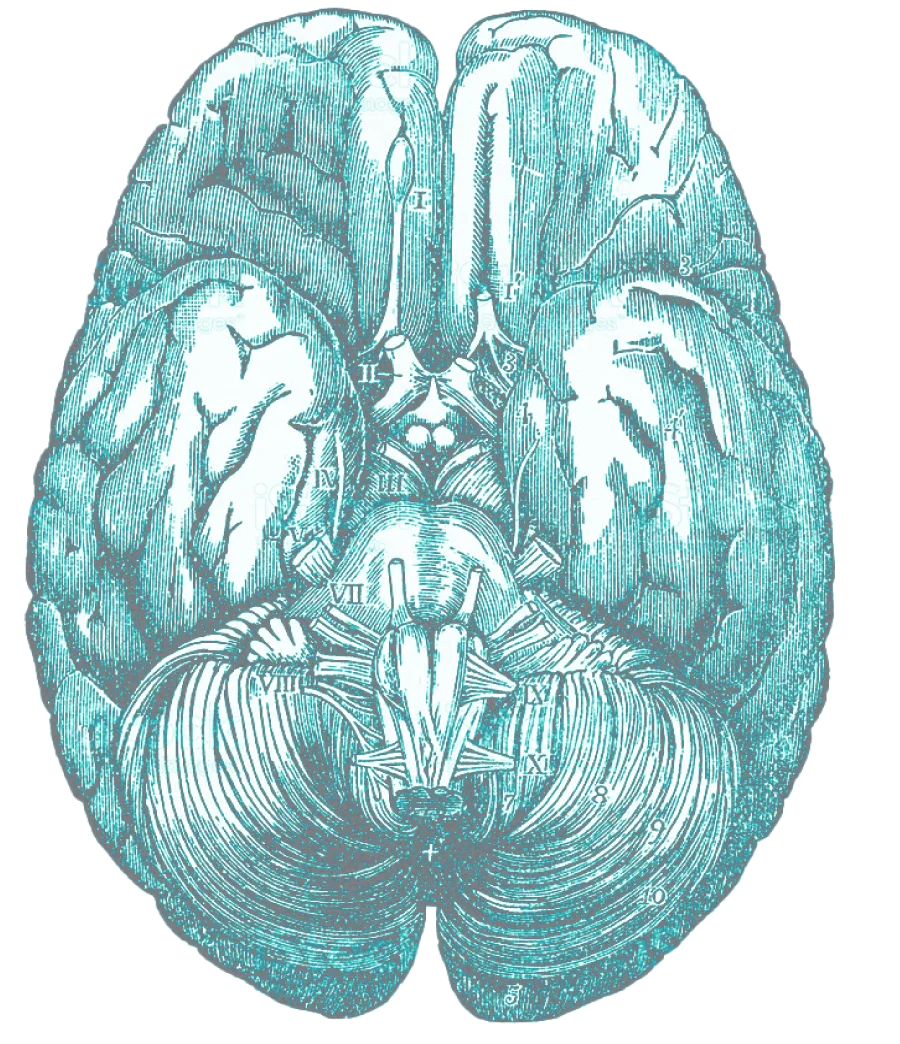 tecnica-neurocirugia tecnica-neurocirugia